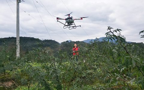 植保無(wú)人機(jī)助力花椒生產(chǎn)節(jié)本增效