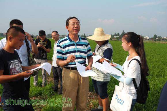 全國多家植保無人機企業(yè)鏖戰(zhàn)湖南賽區(qū)