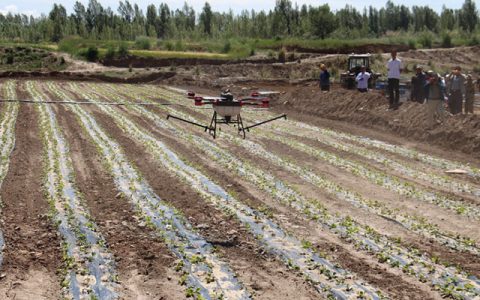 甘州區(qū)植保無人機助陣