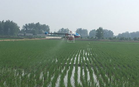 江蘇高郵無人機水稻噴藥