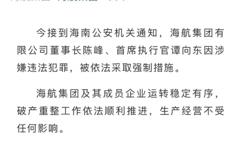 海航董事長及CEO被采取強(qiáng)制措施